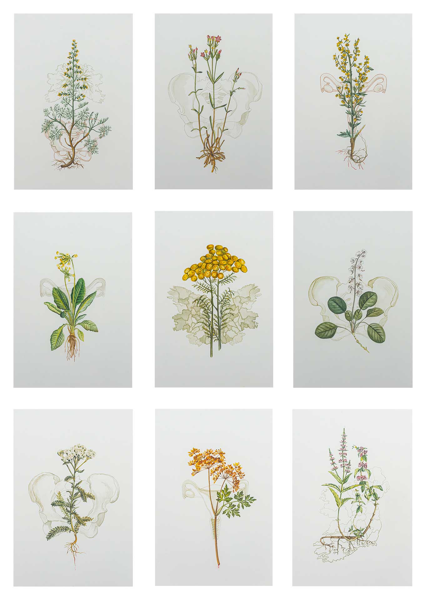 Jennifer Trouton wins Watercolour Prize at RUA