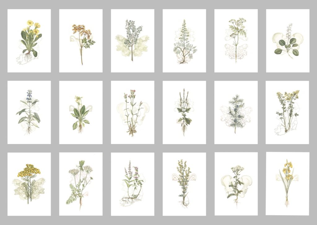 Work by QSS artist Jennifer Trouton purchased for the Crawford Art Gallery collection