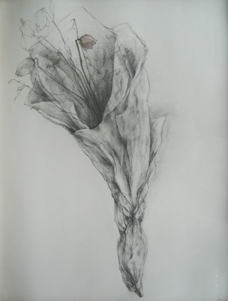 Sharon Kelly – Arts Council Northern Ireland Artist of the Month