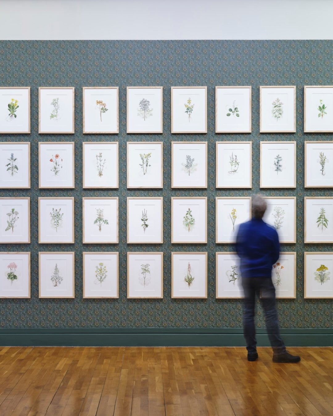 Jennifer Trouton & Amanda Coogan – Constellations