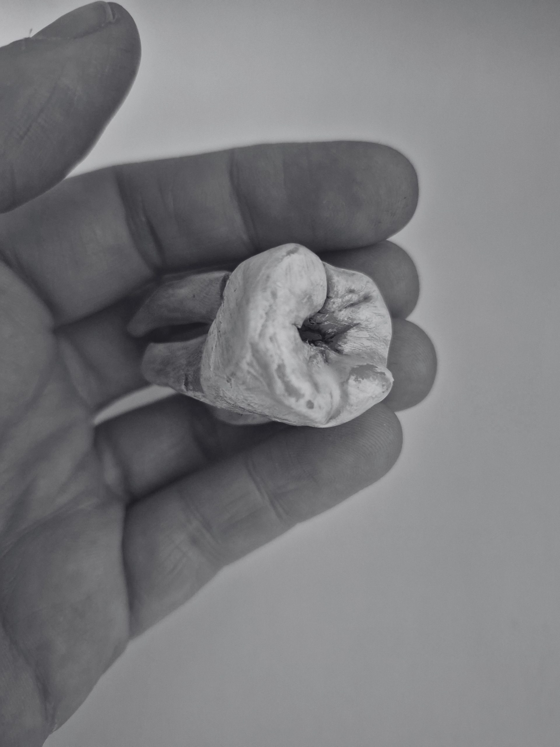 Toss by MIDDEN –Sarah Edmondson, Mary Martin and Niamh McGuinne
